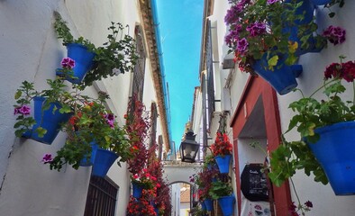 Flowers on pots hanging on the wall in a small alley in Cordoba, Spain