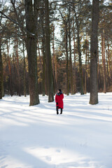 photo with a young woman in the winter forest. girl in a snowy park. in a red jacket on the banks of a frozen river. winter walk in nature. Cold season. Beautiful girl, sunny day.