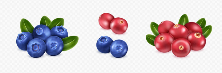 Realistic cranberry and blueberry set with green leaves on transparent background. Various berry compositions for design mockup. 3D realistic vector illustration. © Cimeries