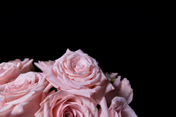 Bouquet of pink roses on a black background
