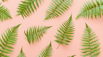 A vibrant composition of green ferns on a soft pink background, perfect for nature and botanical themes.