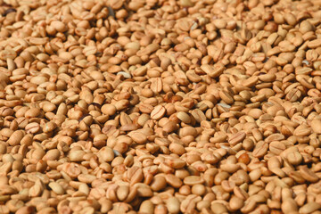 Close up of coffee beans for background          