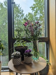 flowers, window,, nature, decoration, decor, home