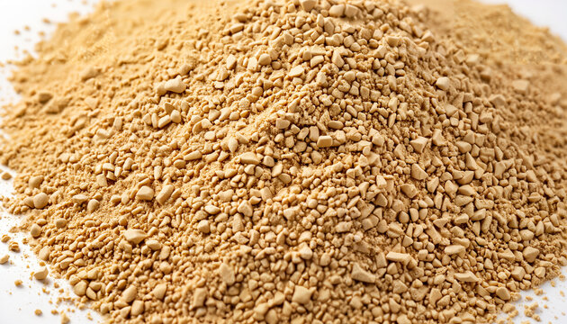 Levure s&egrave;che en gros plan