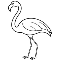 illustration of a flamingo