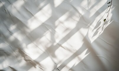 Blurred overlay effect for photo and mockups. Wall texture with organic drop diagonal shadow and rays of light on a white wall. shadows for natural light