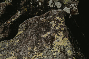 A close-up view of textured rocks covered in vibrant yellow-green lichen in a natural outdoor setting during daylight