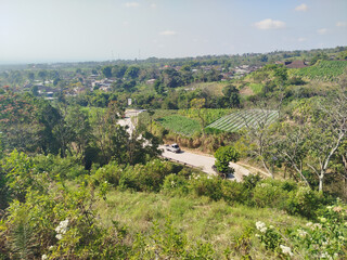 road with mountain background. rural road in mountain area with many trees which is cool and fresh