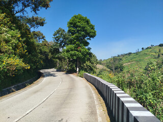 road with mountain background. rural road in mountain area with many trees which is cool and fresh