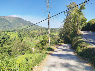 road with mountain background. rural road in mountain area with many trees which is cool and fresh