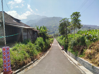 road with mountain background. rural road in mountain area with many trees which is cool and fresh