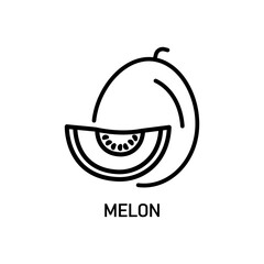 Melon line icon illustration vector