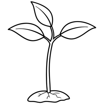 black and white sprout plant growing clip art preview