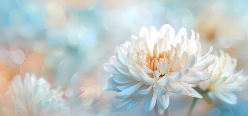 Obraz premium Plant flower background