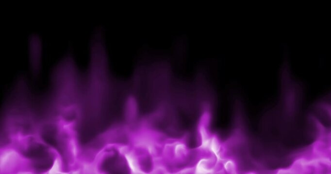 realistic violet pink fire flames burn movement frame on black background