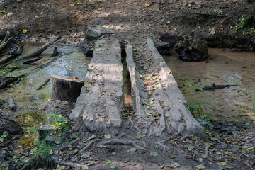 Eine kleine Holzbrücke in einem dichten Wald, bestehend aus zwei halben Baumstämmen, die einen sanften Bach überspannen
