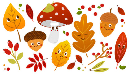 Cute vector set autumn elements. Fall leaves, mushrooms, acorns, berries. Harvest time. Autumn floral stickers. Colored trendy illustration.