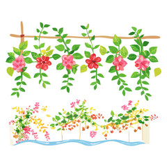 Fototapeta premium Madhu Malati Floral Background Vector Illustration
