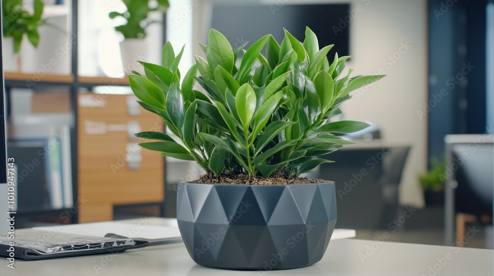 Sticker A decorative potted plant on an office desk, enhancing the workspace's aesthetic.