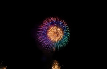 A colorful firework display explodes against a black night sky.