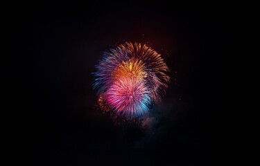 A vibrant display of fireworks explodes against a black night sky.