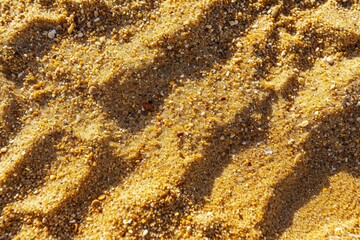 Sunlit Beach Sand Texture: Abstract Granular Background with Rippled Patterns