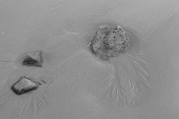 Ripple texture on sandy beach