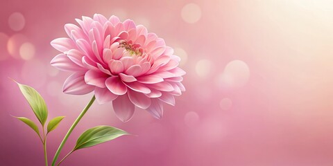 Fototapeta premium Delicate pink flower illustration set against a soft pink backdrop, perfect for floral designs, wallpapers, and