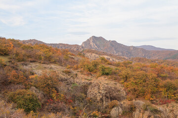 a panoramic view of autumn landscape with mountain hills surrounded by trees with yellow and red foliage at birtvisi canyon in georgia at a sunset light