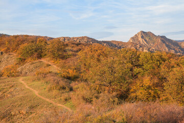 a panoramic view of autumn landscape with mountain hills surrounded by trees with yellow and red foliage at birtvisi canyon in georgia at a sunset light