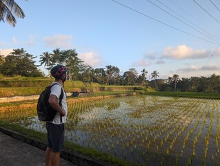 Bali, Indonesia, Rice fields, holiday, tourism