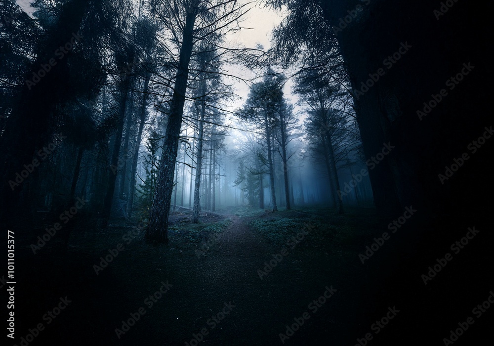 Aufkleber a dark, mysterious forest path winds through tall trees shrouded in fog.