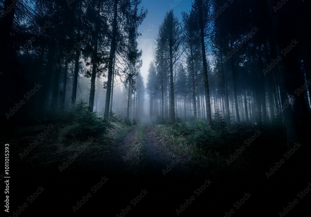 Poster a dirt path winds through a dense, foggy forest. the tall, dark trees create a mysterious and eerie 