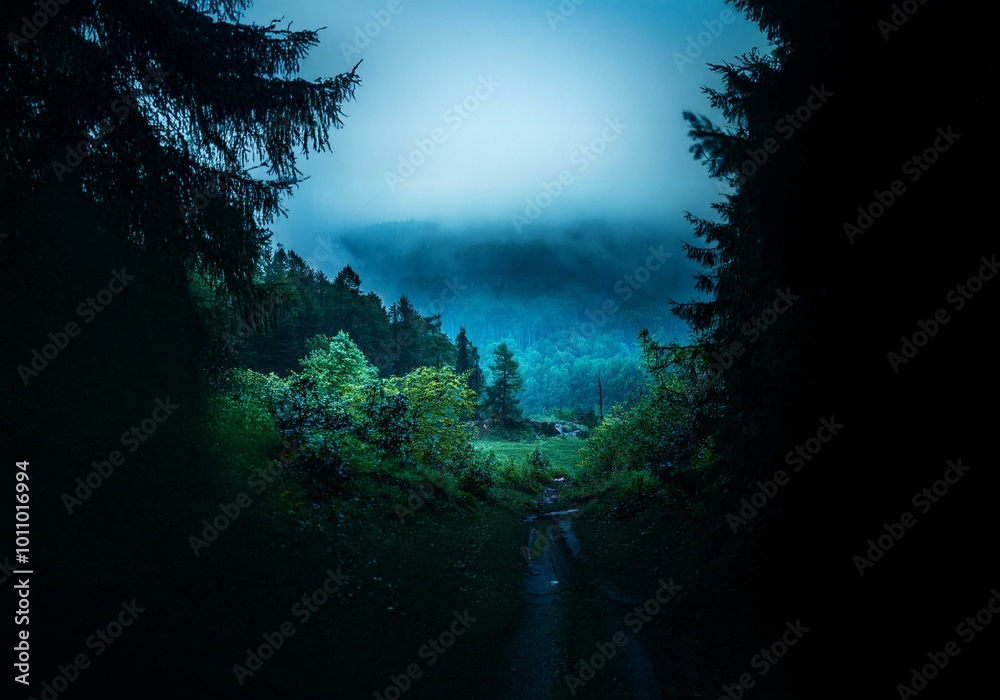Poster a dirt path leads through a misty forest, with the faint light of the sky visible through the trees.