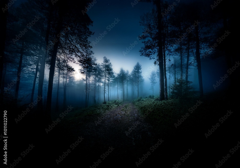 Leinwandbilder a foggy forest path with a hint of light in the distance.
