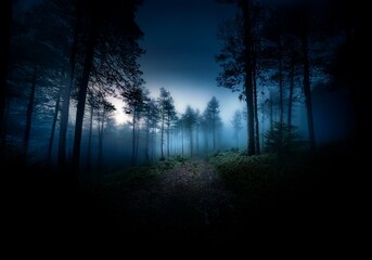 A foggy forest path with a hint of light in the distance.