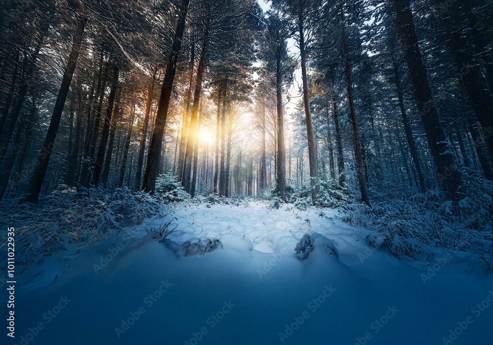 Poster sunbeams shine through a snowy forest, illuminating a pathway in the distance.