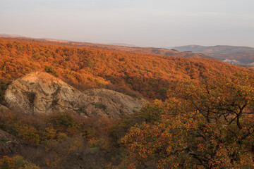 a panoramic view of autumn landscape with mountain hills surrounded by trees with yellow and red foliage at birtvisi canyon in georgia at a sunset light
