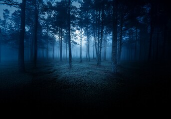 Obraz premium A misty forest at night, the tall trees stand in silhouette against the faint glow of the moon.
