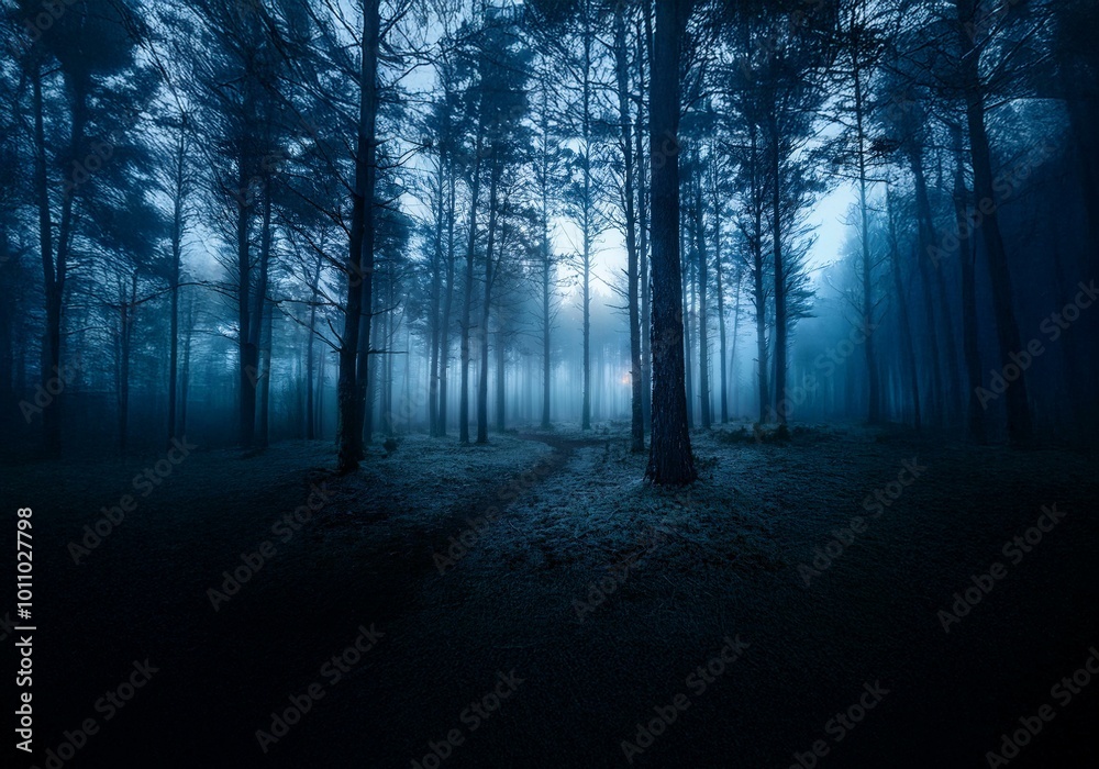 Poster a misty forest at dusk with a path leading into the woods.