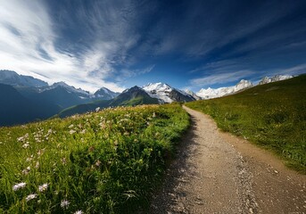 A winding dirt path through a green meadow with snow-capped mountains in the distance and a blue sky with white clouds.