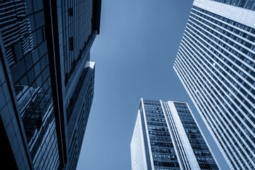 Stunning Urban Perspective: Tall Skyscrapers Under a Clear Sky