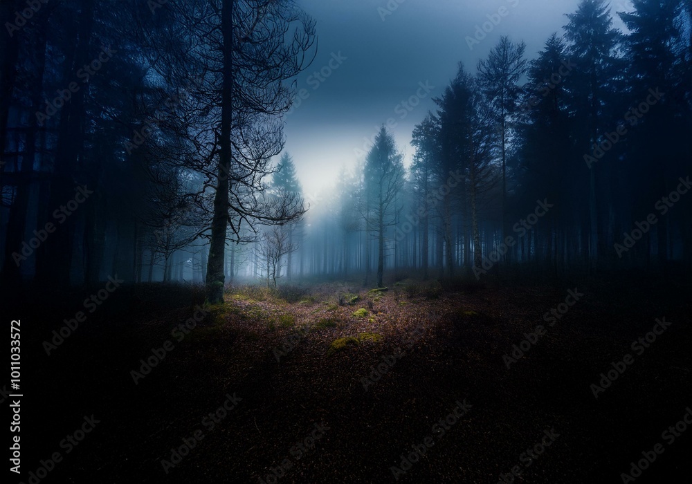Poster a misty forest with tall trees, a single ray of light illuminating the foreground.