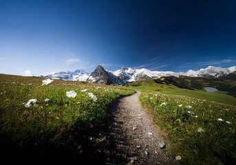 A winding dirt path leads through a field of wildflowers, with snow-capped mountains in the background and a lake in the distance.
