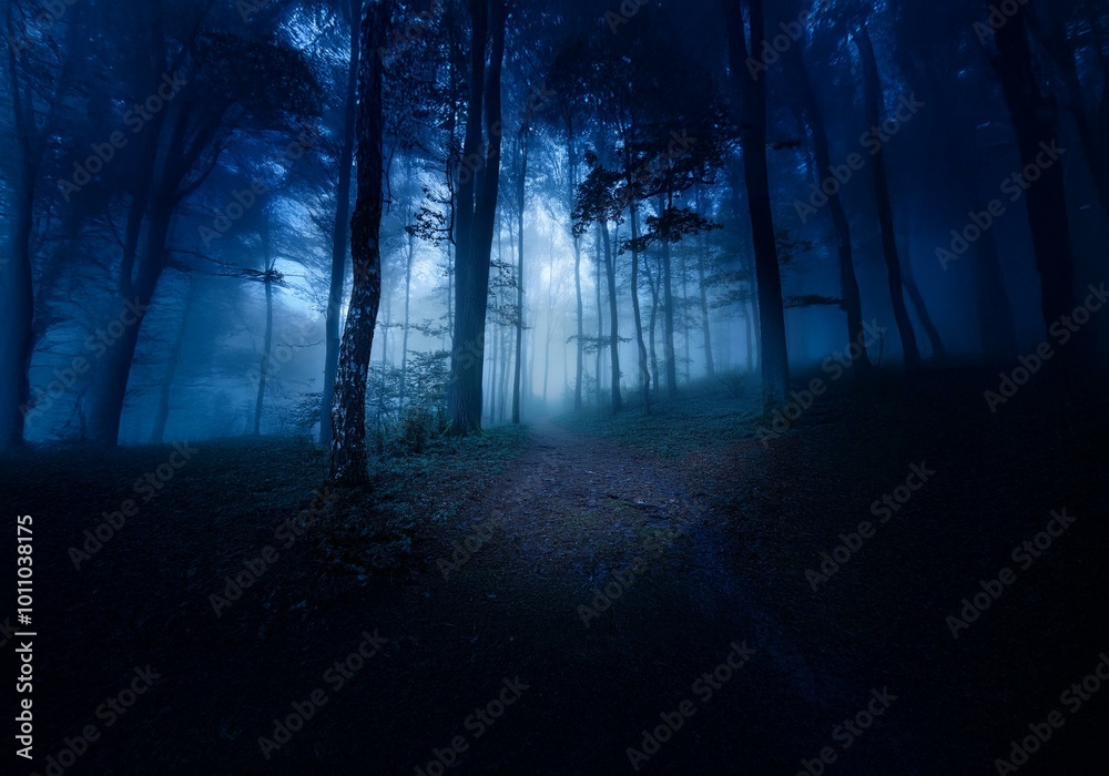 Poster A path winds through a dark and mysterious forest, shrouded in thick fog and illuminated by a faint light.