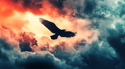 Fototapeta premium Silhouette of a hawk flying against a fiery sky