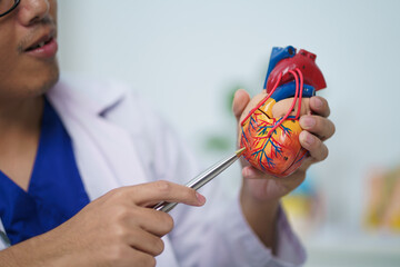 Cardiologist showing the inside of the heart, its components and treatment.