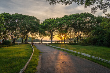 Obraz premium Serene Sunset Over a Park Pathway Framed by Lush Green Trees