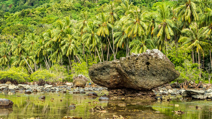 Obraz premium Large coastal rock formations surrounded by lush palm forests. , creating a peaceful tropical landscape with rugged natural elements. Natural beach background wallpaper