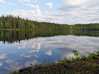 reflection of trees in lake